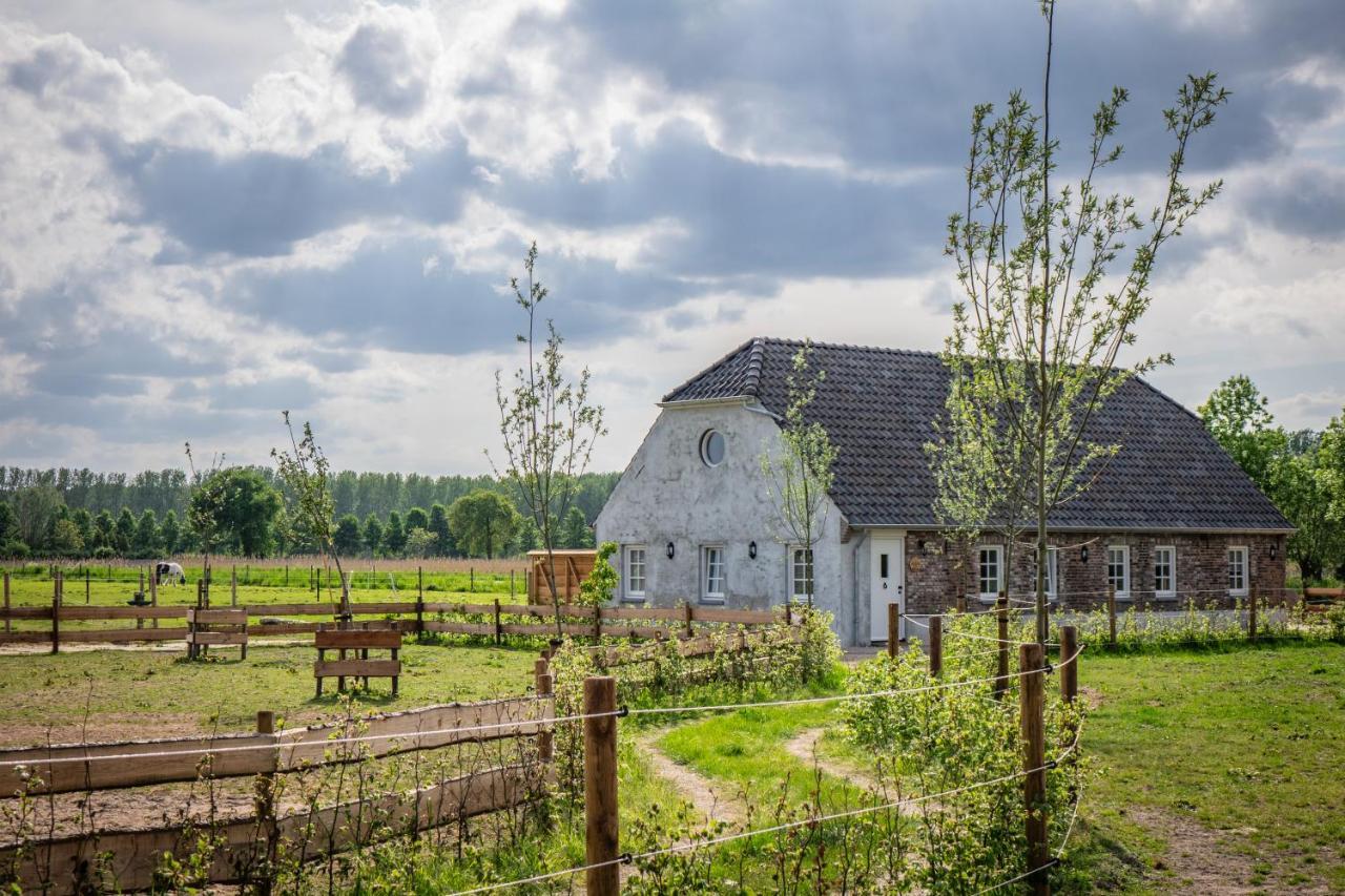 B&B Hoeve Klein Haneveld Sint-Oedenrode Extérieur photo