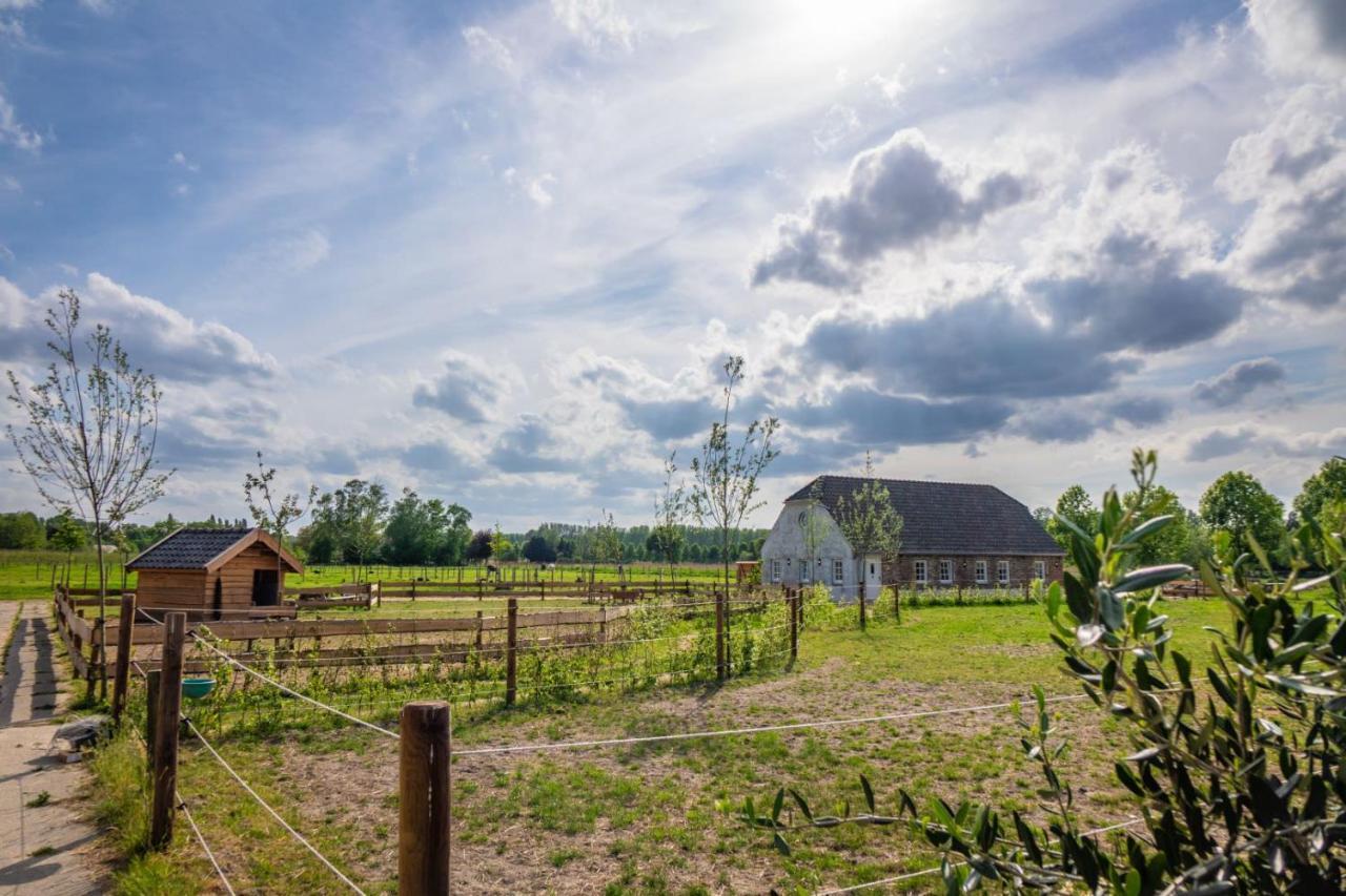 B&B Hoeve Klein Haneveld Sint-Oedenrode Extérieur photo